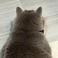 Ly0ly0