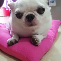 Kayladeli