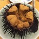 unibomb