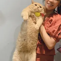 venus.sos.1