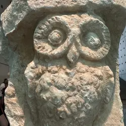 陳骏軒