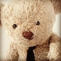 Carmenbearbear