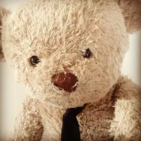 Carmenbearbear