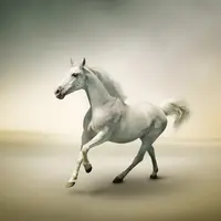 馬比