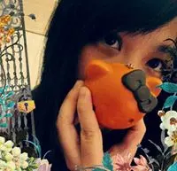 LikeFlower