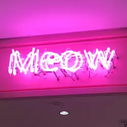 Miss Meow
