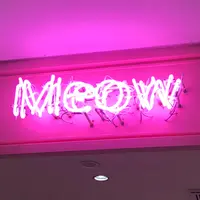 Miss Meow