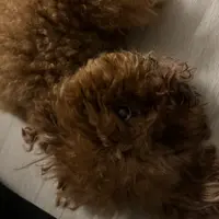ctoeching
