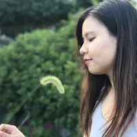 mayyik