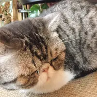 lllhfung