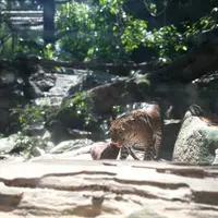 鄧王仔