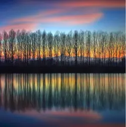 救救用心去做的小店