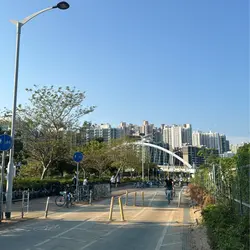giann tsang