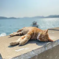 si分享開心事
