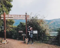 ronronyip