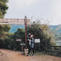 ronronyip
