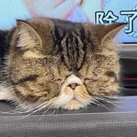 昕希妈
