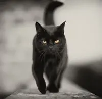 BinBin和你们在一起