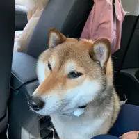 qxsky