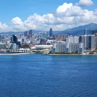 振聰