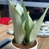 waikaybabe