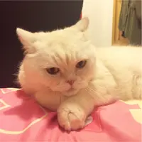 koeyfong