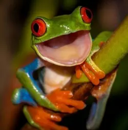 解剖外星人個胃