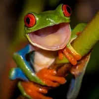 解剖外星人個胃