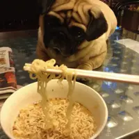 Tasty.Party