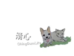 清心 chingsumlife