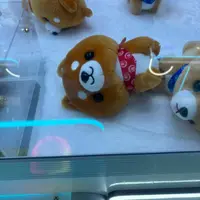 yukimayday