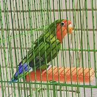 零.食