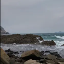 YankieWong6755
