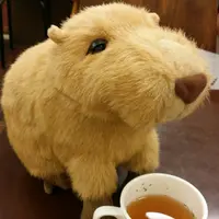 DawnWu