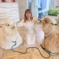 LydiaWong2648