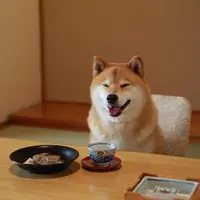 kannkane