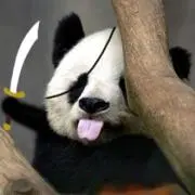 SQPeng