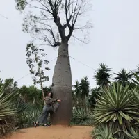 tanbieleung