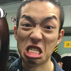 罗立鹤鹤