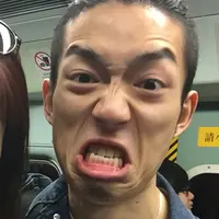 罗立鹤鹤