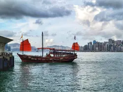 SashaZhang