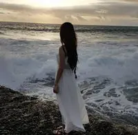 蝶蝶1182