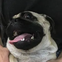 Eatlla