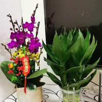 QianNie