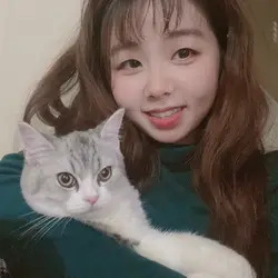ceci chu