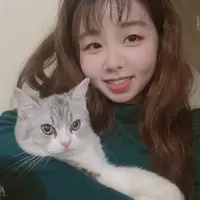 ceci chu