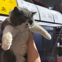 pigpick