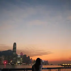 飛天少女豬事丁