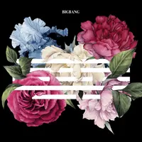 bigbang5