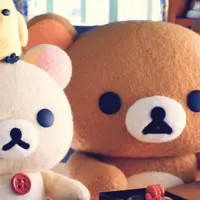 风云相伴